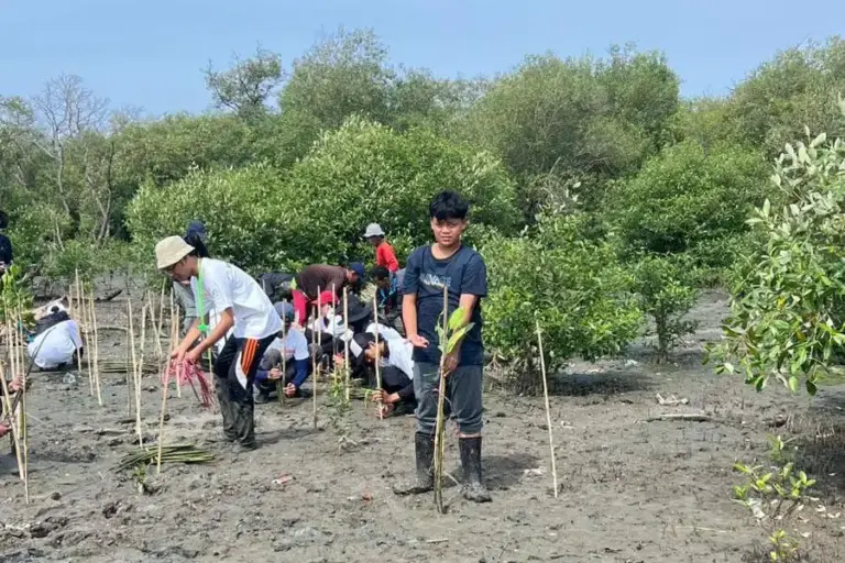 Cegah Abrasi dan Banjir, Siswa SMPN 1 Surabaya Tanam 18.200 Mangrove Lewat Gerakan Mangrove Warrior