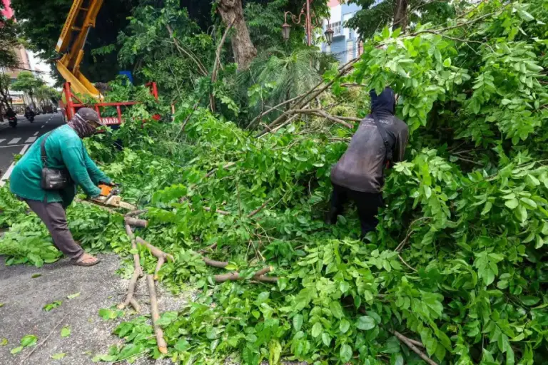 Cuaca Ekstrem Ancam Surabaya, DLH Siagakan 7 Rayon Taman Tangani Pohon Tumbang