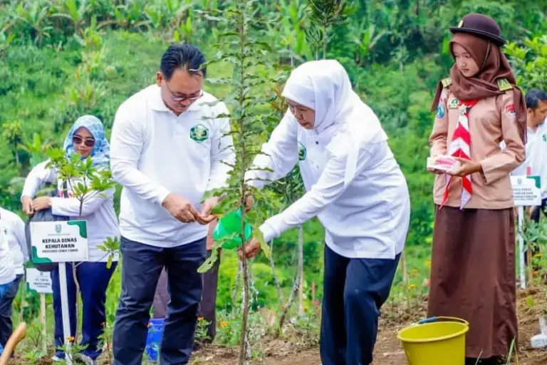 Kinerja KTH Jatim Melonjak di Awal 2026, Transaksi Tembus Rp367,95 Miliar dan Dominasi Nasional