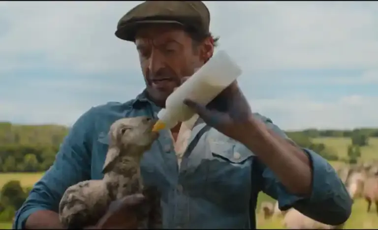 Film The Sheep Detectives, Banjir Pujian Jelang Tayang