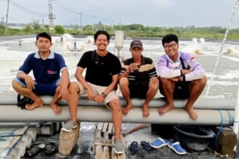 Alumni UNAIR Berkontribusi Tingkatkan Produktivitas Tambak Udang melalui Budidaya Intensif di Situbondo